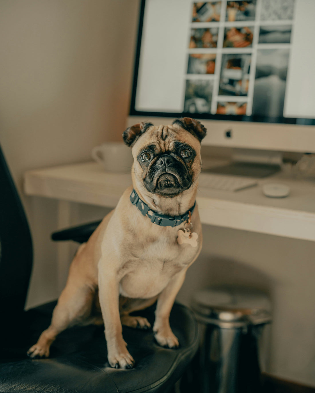 The 2025 Product Job Market Is Shifting. Here’s What We’re Doing About It!